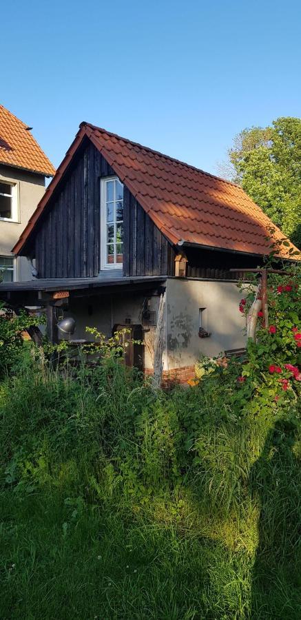 Niedliches-Kleines-Ferienhaeuschen-Auf-Ruegen-Nahe-Stralsund Villa Altefahr Ngoại thất bức ảnh